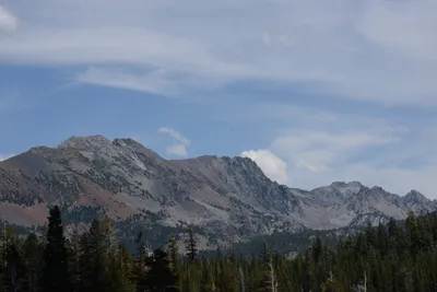 DSC_3178 (Large).JPG